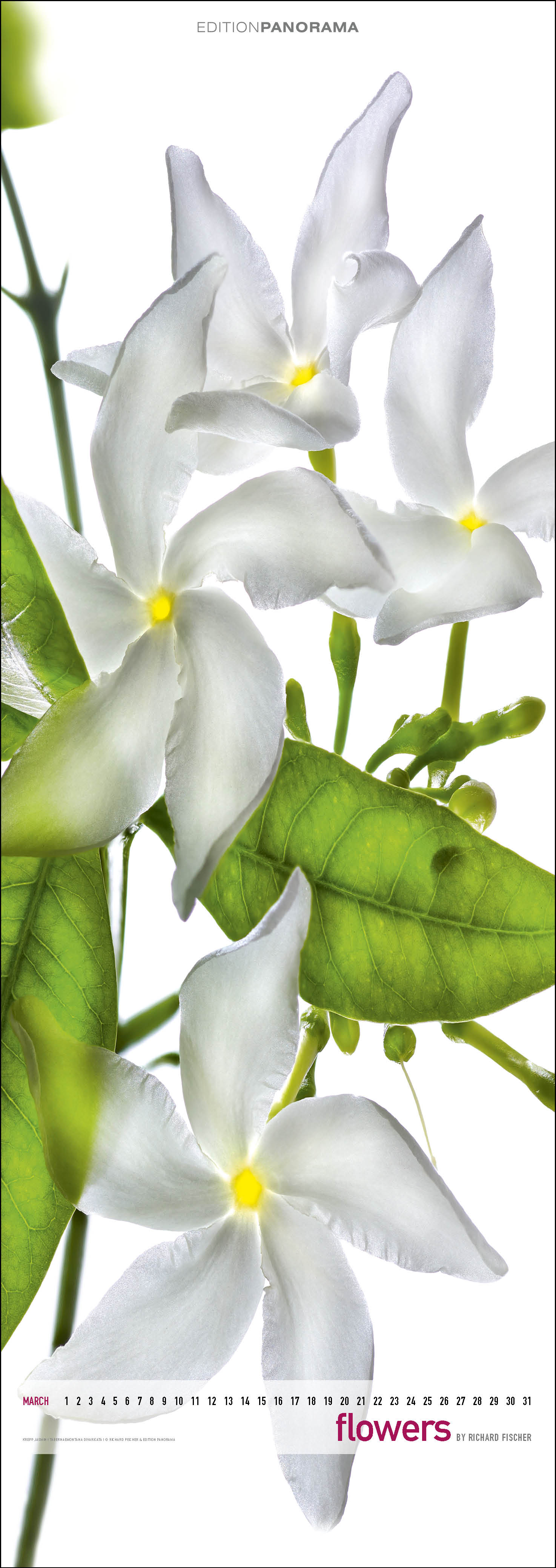 Flowers_Kalender_Richarf_Fischer_4.jpg Fischer Kalendar