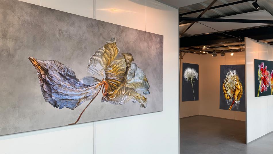 SOUS TERRE ART FAIR Appeltern