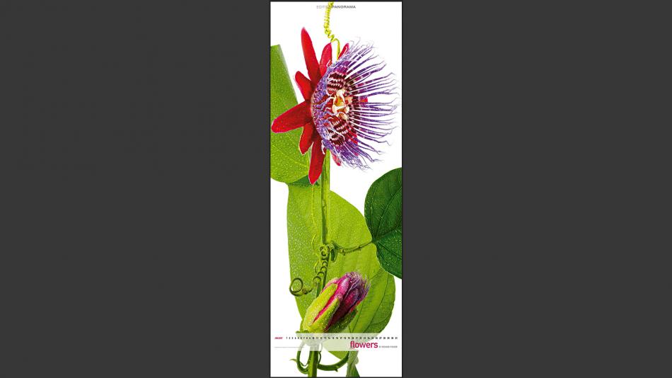 Flowers Everlating Kalender