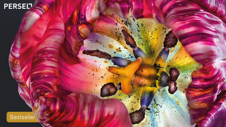 FLORAL Bestseller & Upcoming Exhibitions: Join Me for a Lecture and Book Signing on Sept 14th!